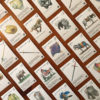 La Mancha physical game - Image 3